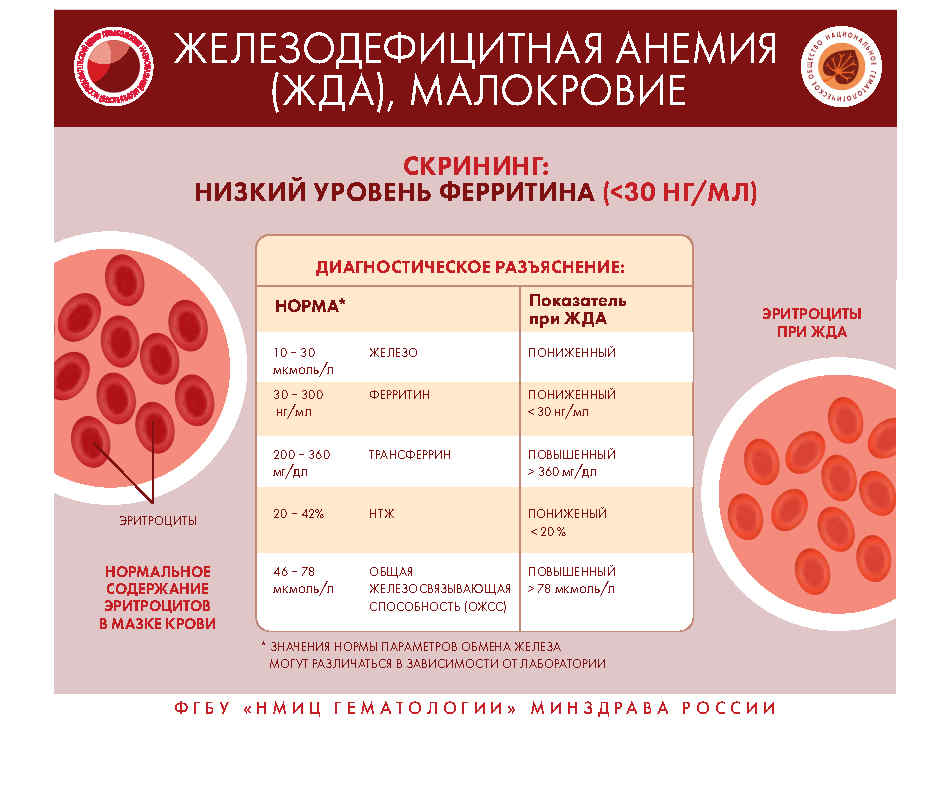 Инфографика Page8